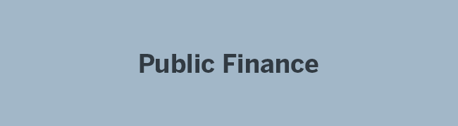 Public Finance