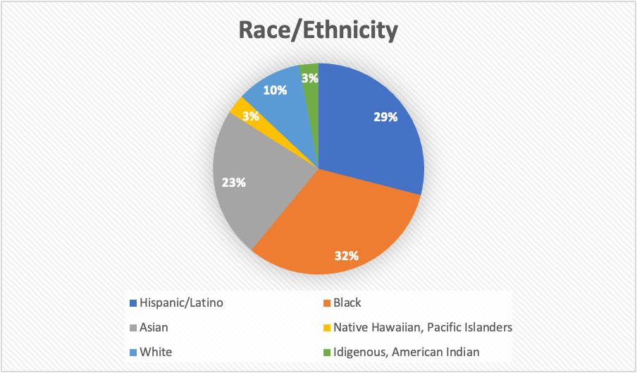 Pie chart showing racial makeup of PPIA participants 