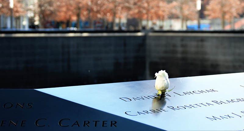 White rose at the NYC 9/11 Memorial. Credit: Iago Godoy, Unsplash