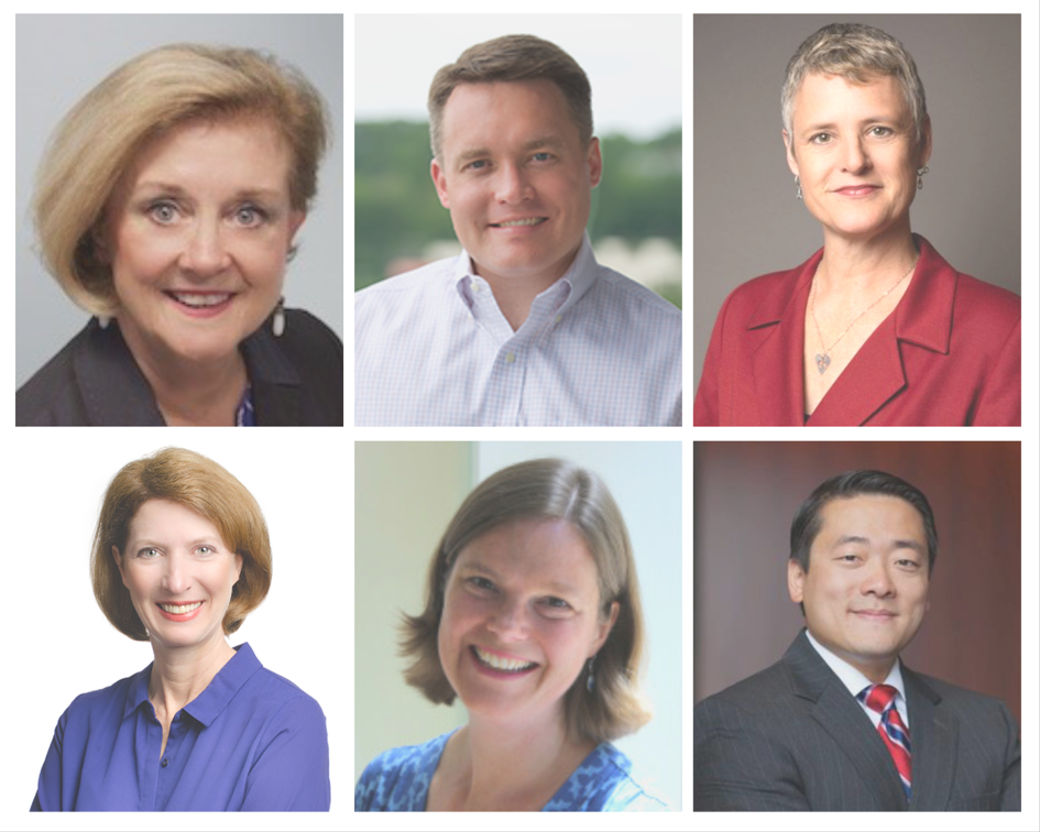 LBJ School alumni who ran for office and won in 2018. Top row: Dana DeBeauvoir (MPAff '81); Matt de Ferranti (MPAff '01); Sarah Eckhardt (MPAff '98). Bottom row: Vikki Goodwin (MPAff '91); Ruth Hardy (MPAff '96); and Gene Wu (MPAff '04). 