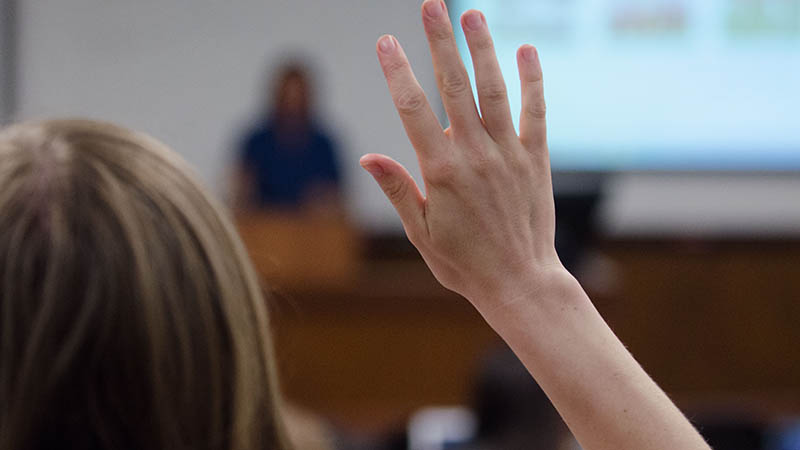 A student raises her hand during a class