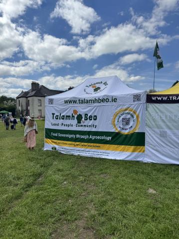 LBJ student Dylan Driscoll Ireland Internship