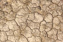 dry cracked earth