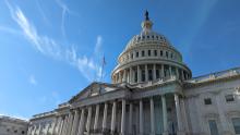 The U.S. Capitol in Washington, D.C. on a bright afternoon.