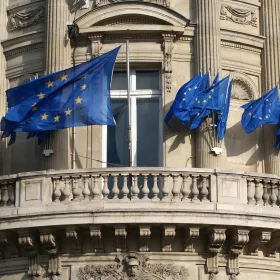 EU flags