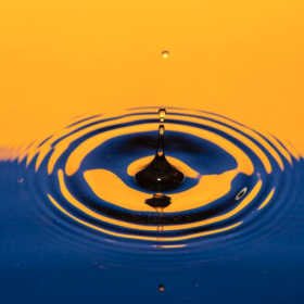 LBJ prof Sachin Shah event 