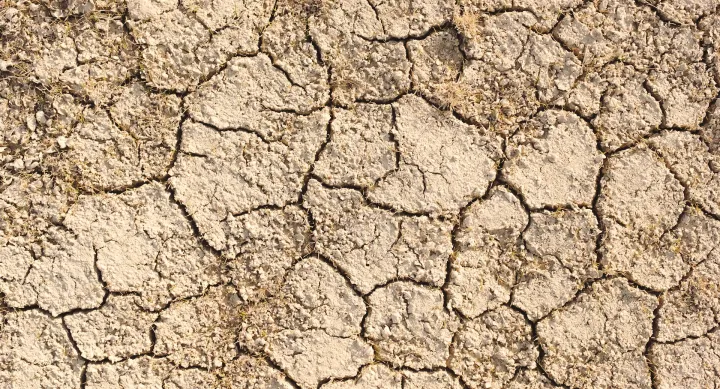 dry cracked earth