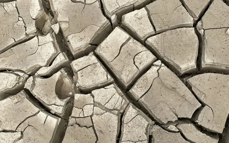 drought-stricken dirt