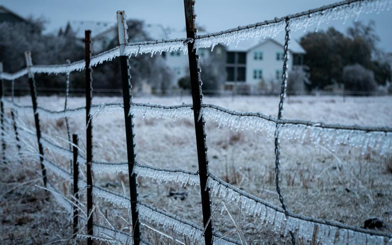 A fence covered in ice in Texas